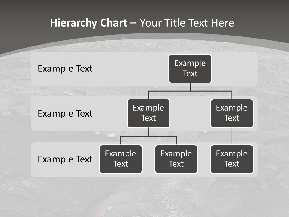 Portrait Attraction Park PowerPoint Template