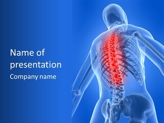 Skull Spinal Anatomical PowerPoint Template