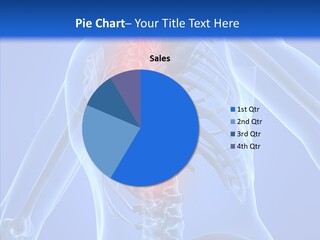 Skull Spinal Anatomical PowerPoint Template