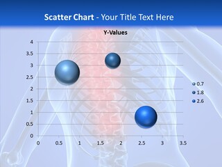 Skull Spinal Anatomical PowerPoint Template