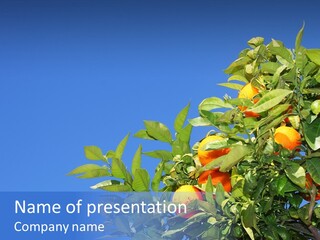 Season Farming Acid PowerPoint Template