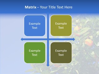 Season Farming Acid PowerPoint Template