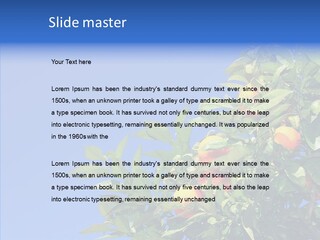 Season Farming Acid PowerPoint Template