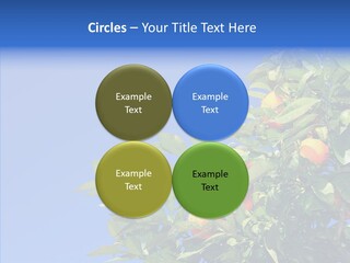 Season Farming Acid PowerPoint Template