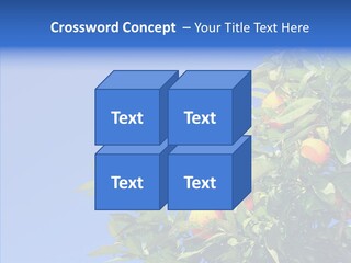 Season Farming Acid PowerPoint Template