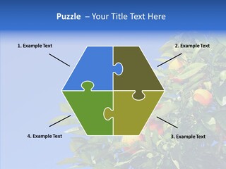 Season Farming Acid PowerPoint Template