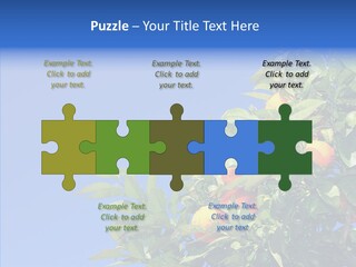 Season Farming Acid PowerPoint Template