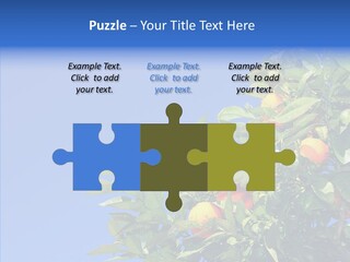 Season Farming Acid PowerPoint Template