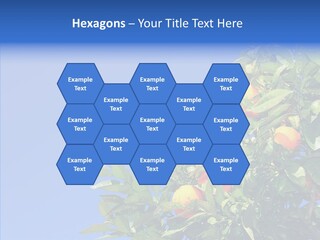 Season Farming Acid PowerPoint Template