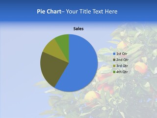 Season Farming Acid PowerPoint Template