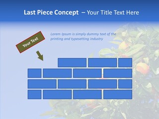 Season Farming Acid PowerPoint Template