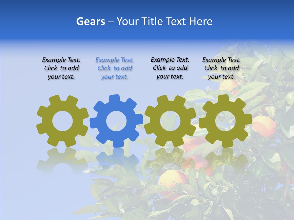 Season Farming Acid PowerPoint Template