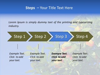 Season Farming Acid PowerPoint Template