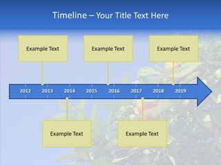 Season Farming Acid PowerPoint Template