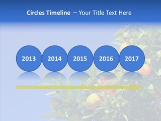 Season Farming Acid PowerPoint Template