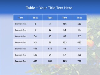 Season Farming Acid PowerPoint Template