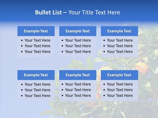 Season Farming Acid PowerPoint Template