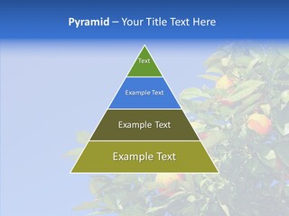 Season Farming Acid PowerPoint Template