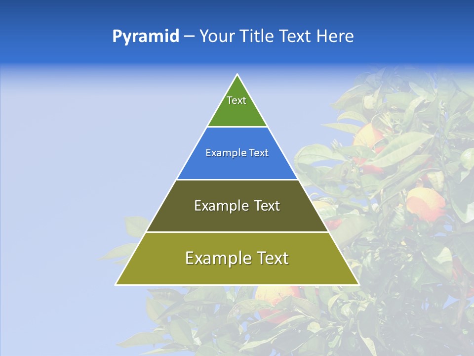 Season Farming Acid PowerPoint Template