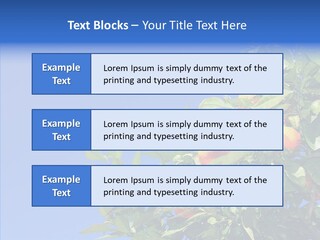 Season Farming Acid PowerPoint Template