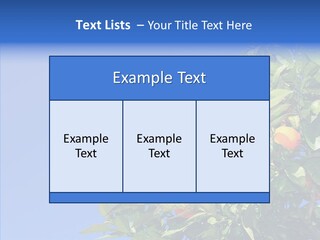 Season Farming Acid PowerPoint Template