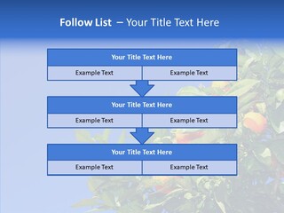 Season Farming Acid PowerPoint Template