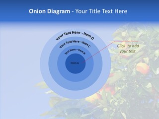 Season Farming Acid PowerPoint Template