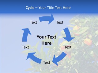 Season Farming Acid PowerPoint Template