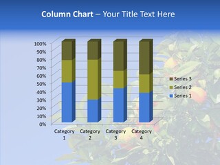 Season Farming Acid PowerPoint Template