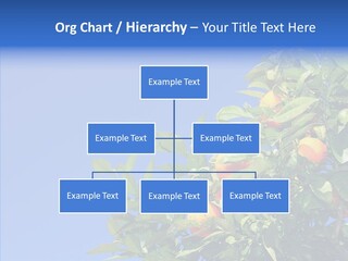 Season Farming Acid PowerPoint Template