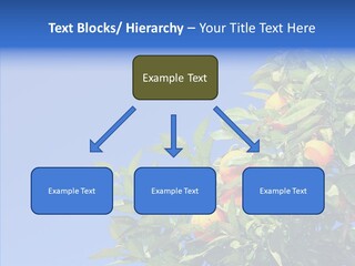 Season Farming Acid PowerPoint Template