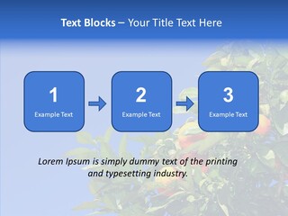 Season Farming Acid PowerPoint Template