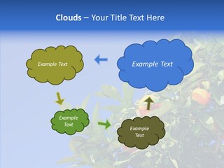 Season Farming Acid PowerPoint Template