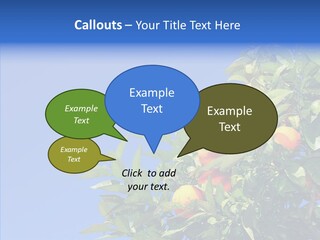 Season Farming Acid PowerPoint Template