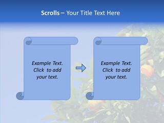 Season Farming Acid PowerPoint Template