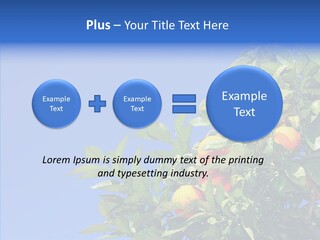 Season Farming Acid PowerPoint Template
