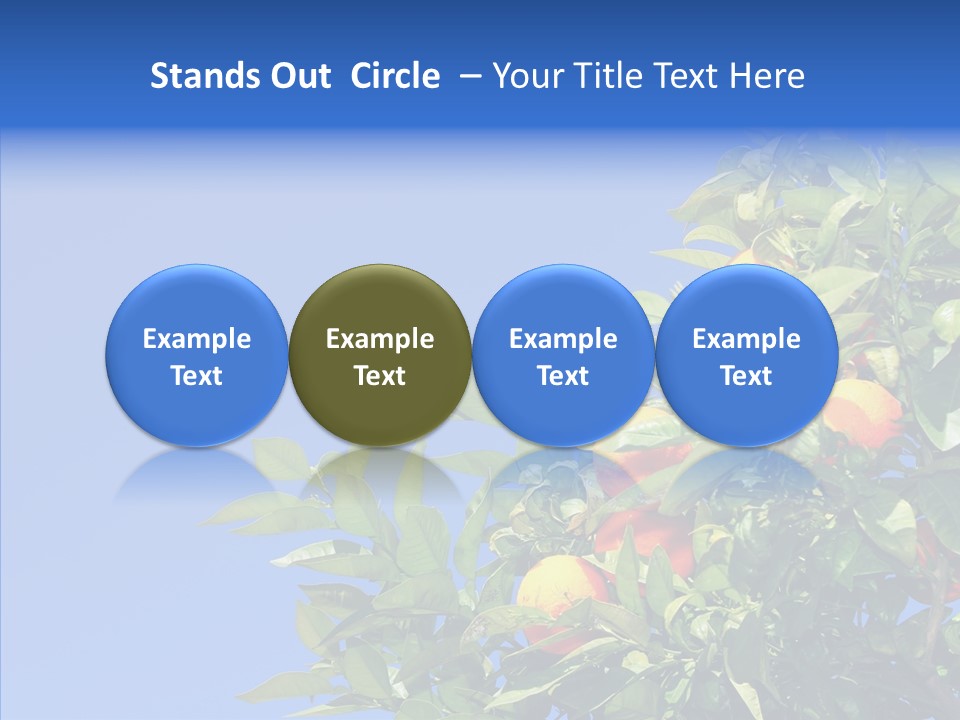 Season Farming Acid PowerPoint Template