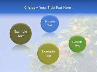 Season Farming Acid PowerPoint Template