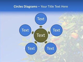 Season Farming Acid PowerPoint Template