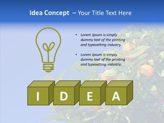 Season Farming Acid PowerPoint Template