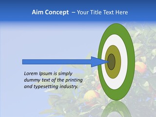 Season Farming Acid PowerPoint Template