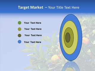 Season Farming Acid PowerPoint Template