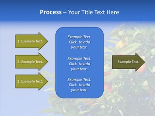 Season Farming Acid PowerPoint Template