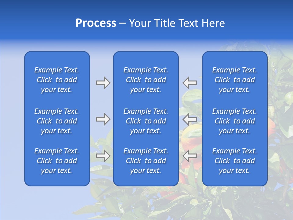 Season Farming Acid PowerPoint Template