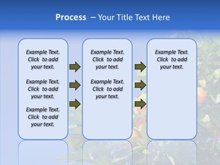 Season Farming Acid PowerPoint Template