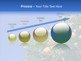 Season Farming Acid PowerPoint Template