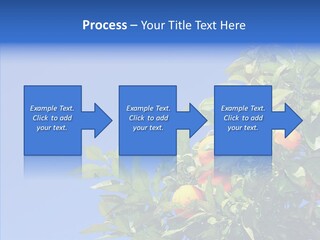 Season Farming Acid PowerPoint Template