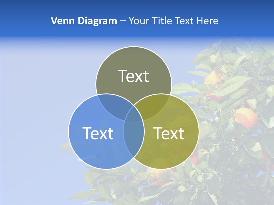 Season Farming Acid PowerPoint Template