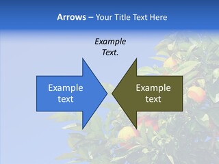 Season Farming Acid PowerPoint Template