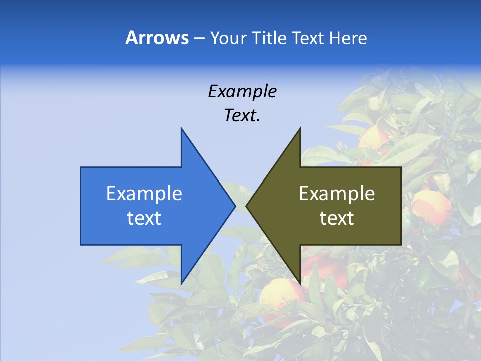 Season Farming Acid PowerPoint Template